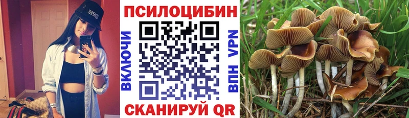 Галлюциногенные грибы Magic Shrooms  Строитель 